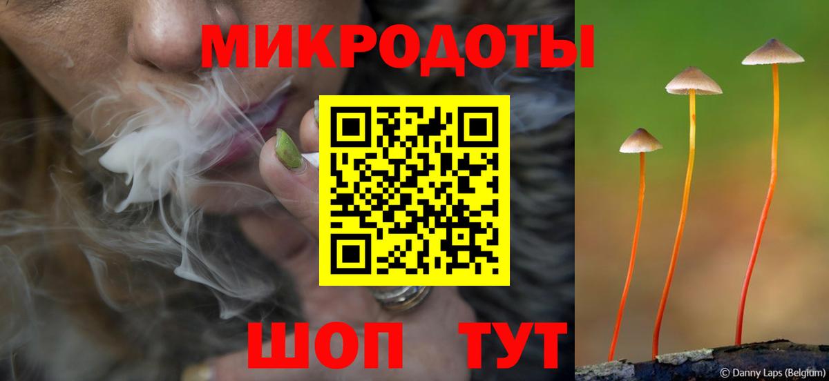 Новоуральск  Галлюциногенные грибы Psilocybine cubensis  Вход с VPN 